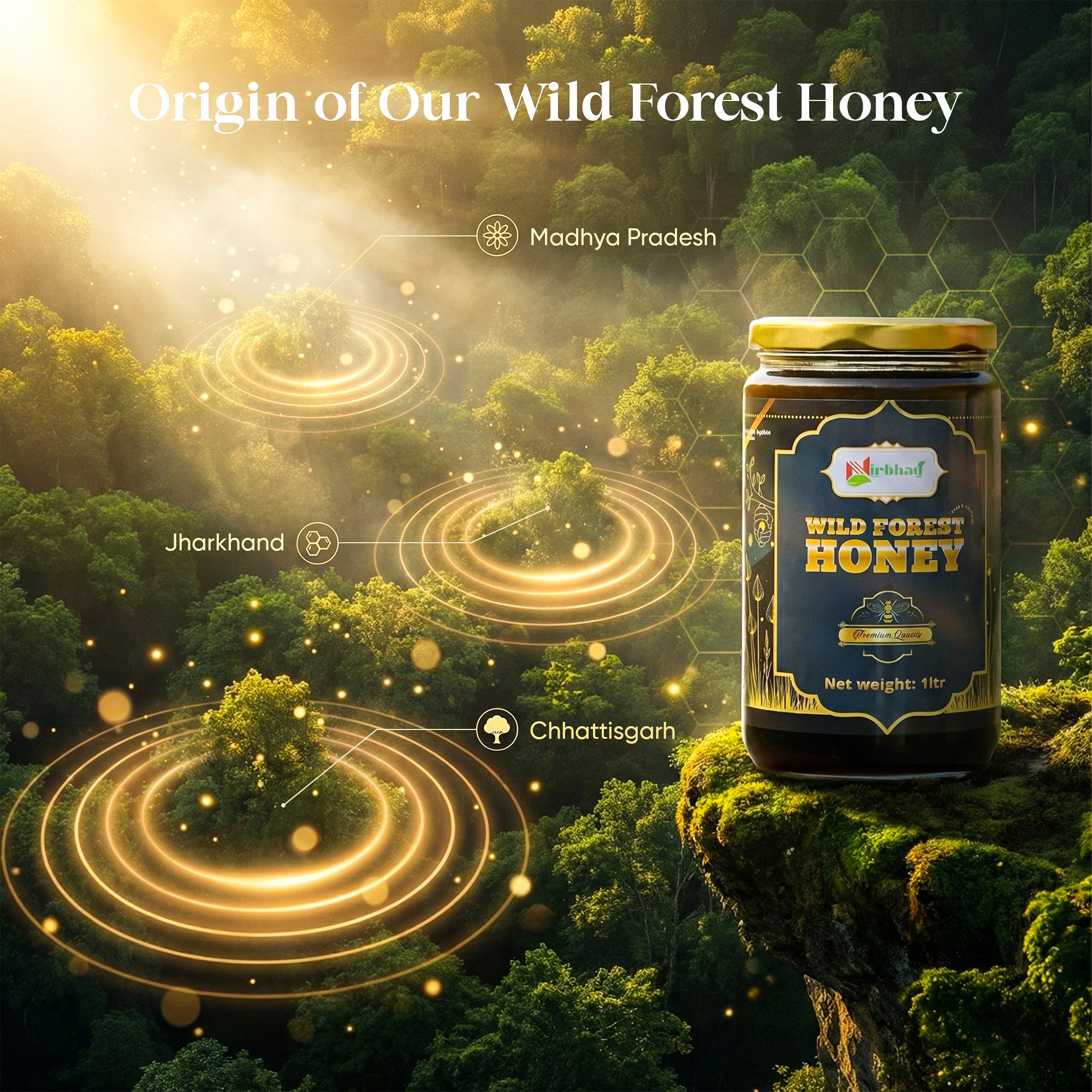 Nirbhau Wild Forest Honey