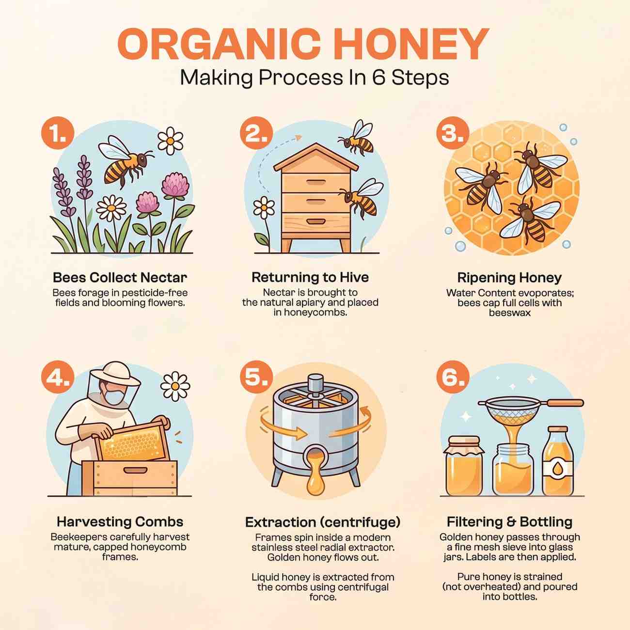 Organic Honey - Nirbhau Farms